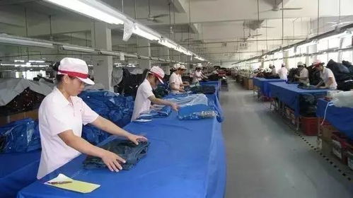 生產、品質與技術三大部門的法律關系與協作機制