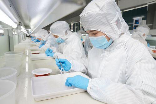 再登世界品質之巔 燕之屋榮獲歐盟BRC IFS雙認證，硬件研發成就卓越